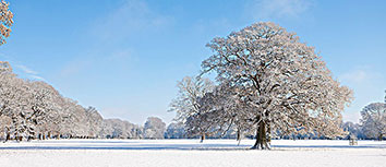 惊心动魄！波兰意志如磐石，逆转瑞士，昂首挺进淘汰赛！
