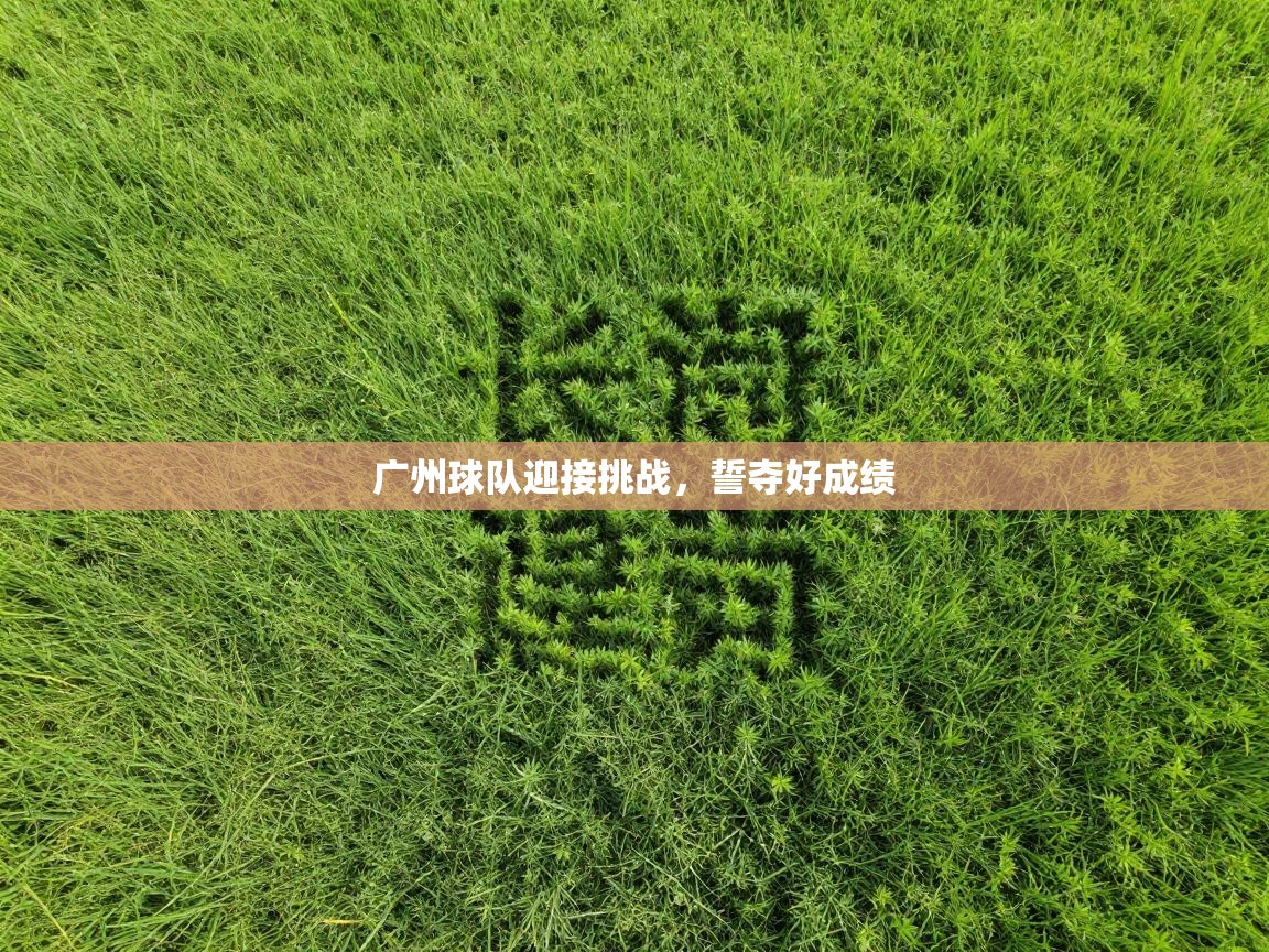 广州球队迎接挑战，誓夺好成绩  第1张