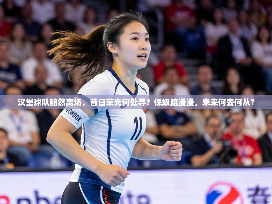 汉堡球队黯然离场，昔日荣光何处寻？保级路漫漫，未来何去何从？