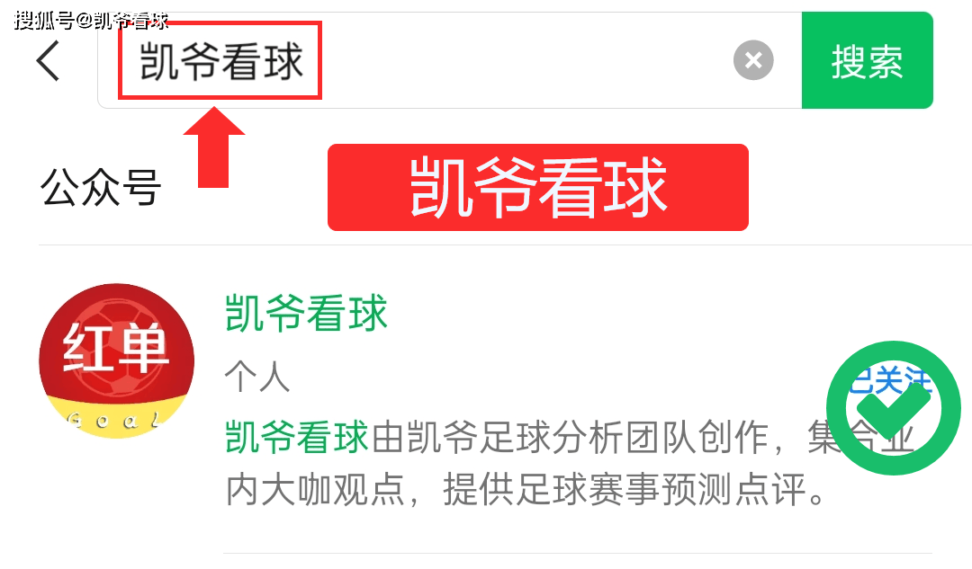 河床备战世俱杯半决赛,鹿岛鹿角状态成关键的简单介绍 河床备战世俱杯半决赛,鹿岛鹿角状态成关键的简单介绍