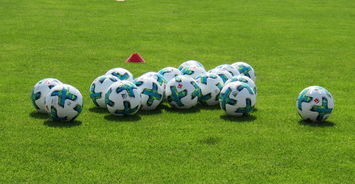 汉堡队稳居德甲中游，呼声再次高涨，汉堡是哪支球队